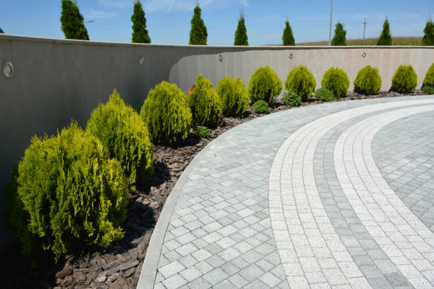Best Best Driveway Pavers  in Covington, LA